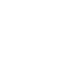 Chimney Service Removes Animal Nests and Debris